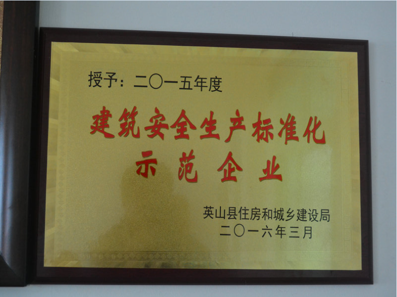 2015年度全县建筑安全生产标准化示范企业